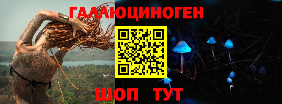 Псилоцибиновые грибы GOLDEN TEACHER  Галлюциногенные грибы ЛСД  Ленинск-Кузнецкий  Вход с VPN 